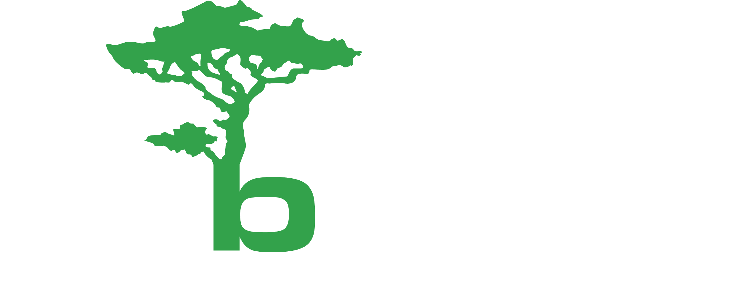 Arborex, abattage, élagage d'arbres et exploitation forestière en Belgique, Luxembourg et France.